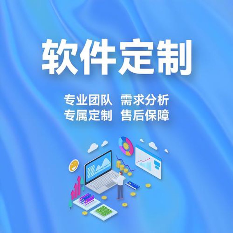 企业系统开发——构建未来之路