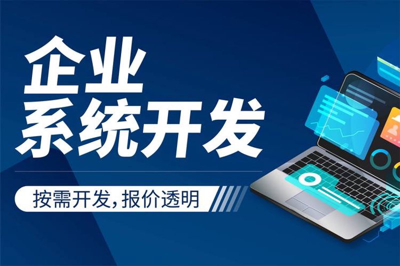 管理软件定制：解锁企业高效的金钥匙